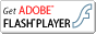 �������� ������������� Adobe Flash
